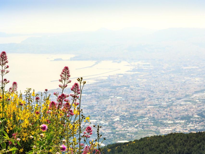 From Naples: Mount Vesuvius Transfer with Entry Tickets - What the return ride adds