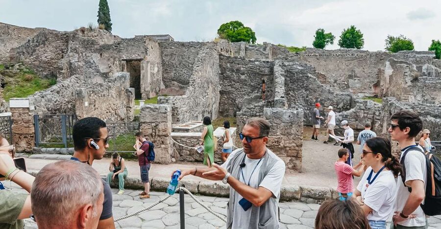 From Naples or Sorrento: Pompei Half-Day Tour - Who should book this Pompeii tour?