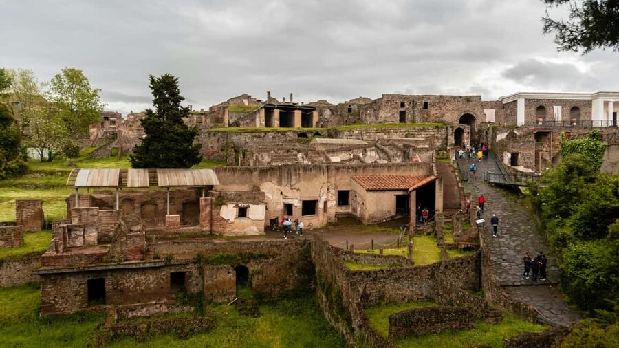 From Naples: Pompeii and Vesuvius Day Tour - Reaching Vesuvius from Naples