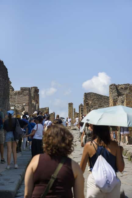 From Naples: Pompeii and Vesuvius Guided Day Trip with Lunch - Meeting in Naples at Starhotels Terminus