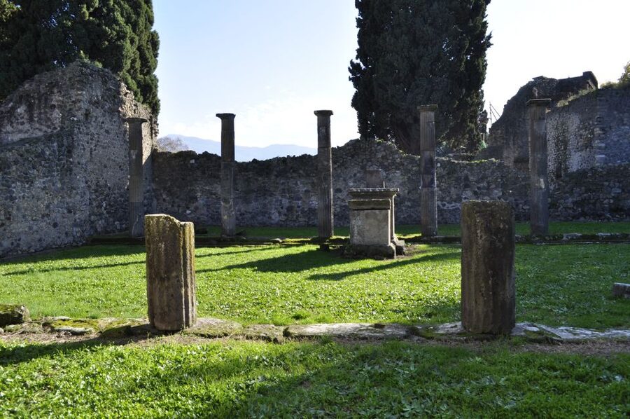 From Naples: Pompeii and Wine Tasting Tour with Lunch - Who will get the most from this day