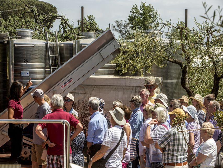 From Naples: Pompeii and Wine Tasting Tour with Lunch - Starting from Naples at 8 a.m.