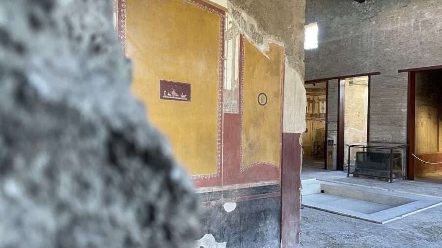 From Naples: Pompeii Guided Tour with Skip-the-Line Tickets - Key points to know before booking