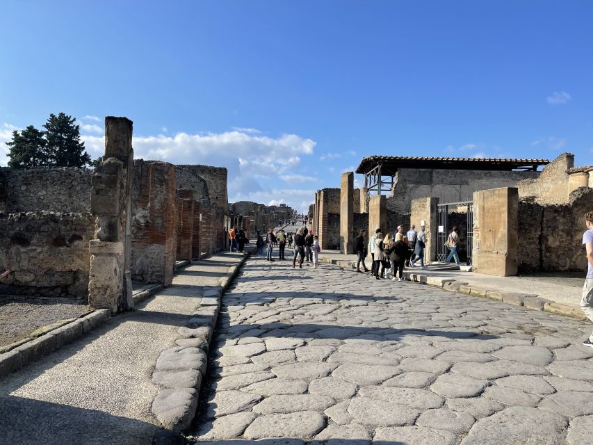 From Naples: Pompeii Guided Tour with Skip-the-Line Tickets - Entering Pompeii through a separate entrance