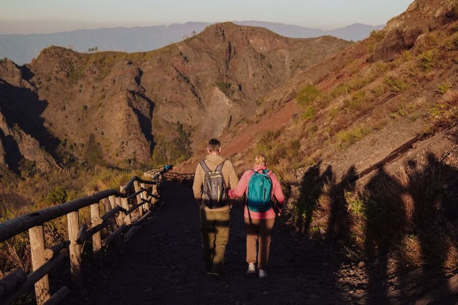 From Naples: Pompeii & Mount Vesuvius Full-Day Private Tour - Walking the crater rim of Mount Vesuvius