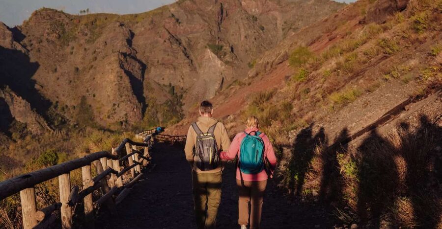 From Naples: Pompeii & Mount Vesuvius Full-Day Private Tour - Pickup from Naples and the coastal towns