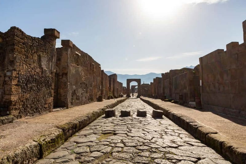 From Naples: Pompeii Private Tour with Transfer and Guide - Walking the Forum and the main public buildings