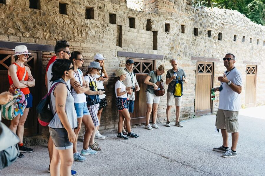 From Naples: Pompeii Ruins & Mount Vesuvius Day Tour - Meeting in Naples and getting on the right vehicle