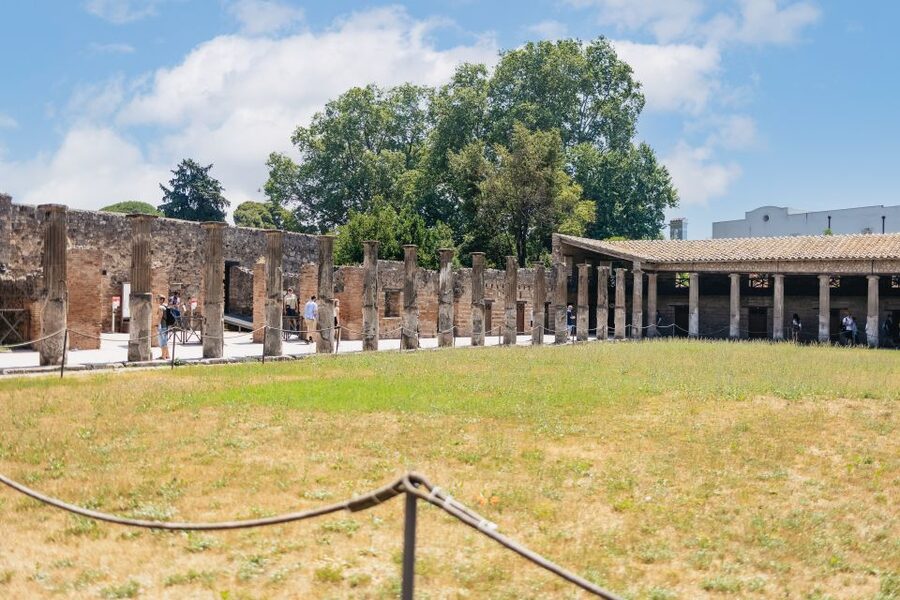 From Naples: Pompeii Ruins & Mount Vesuvius Day Tour - Guides, languages, and the level of explanation