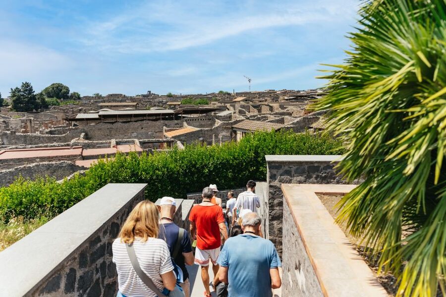 From Naples: Pompeii Ruins & Mount Vesuvius Day Tour - Timing, group flow, and the return to Naples