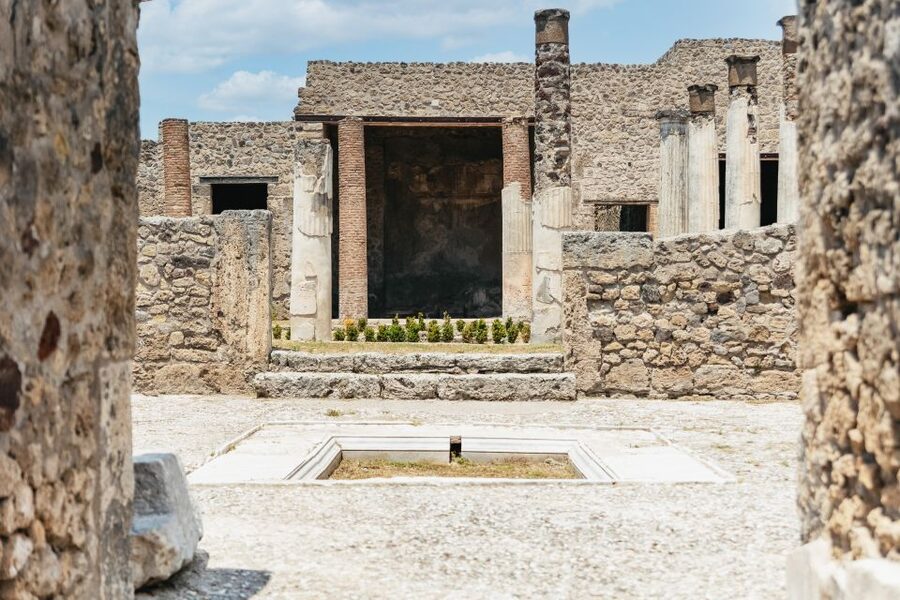 From Naples: Pompeii Ruins & Mount Vesuvius Day Tour - Who gets the best value from this tour