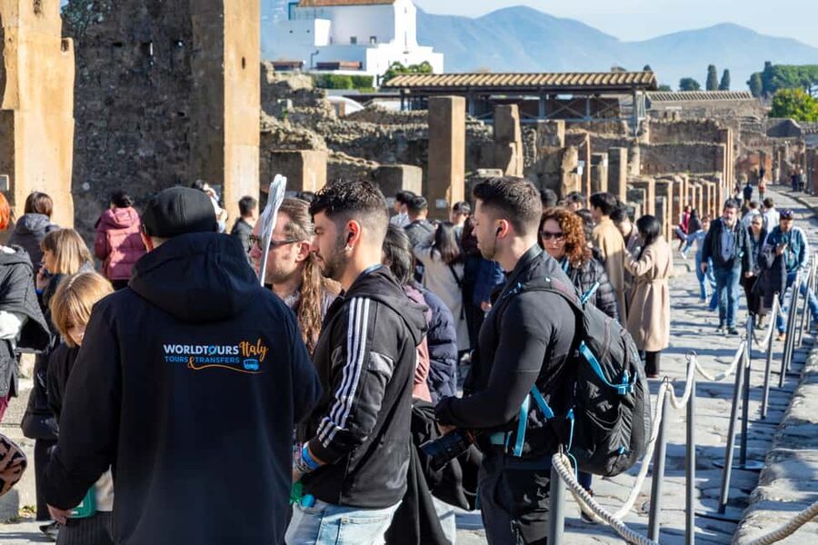 From Naples: Pompeii Skip-the-Line Entry Ticket and Tour - Starting in Naples: pickup points and the port