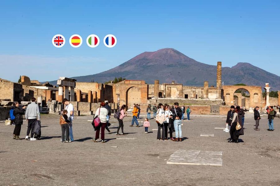 From Naples: Pompeii Skip-the-Line Entry Ticket and Tour - Choosing between VIP, small, and regular groups
