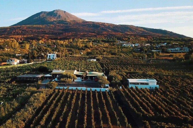 From Naples: Pompeii & Wine Tasting" Private Day Tour - Two hours among Pompeii’s ancient streets