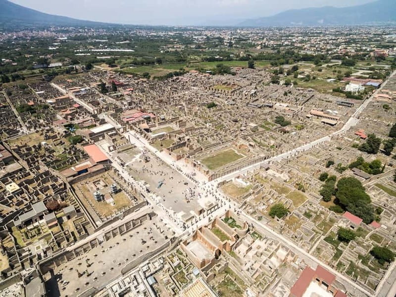From Naples Port: Pompeii and Mt. Vesuvius Day Trip - Should you book this Pompeii and Vesuvius tour?