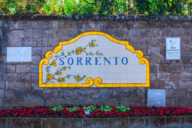 From Naples Port: Sorrento & Pompeii With Limoncello Tasting - What this Naples shore excursion really offers
