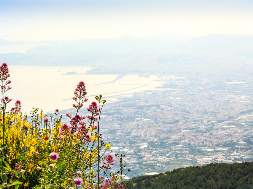 From Naples Port: Vesuvius and Pompeii Tour with Tickets - Forty minutes down to Pompeii
