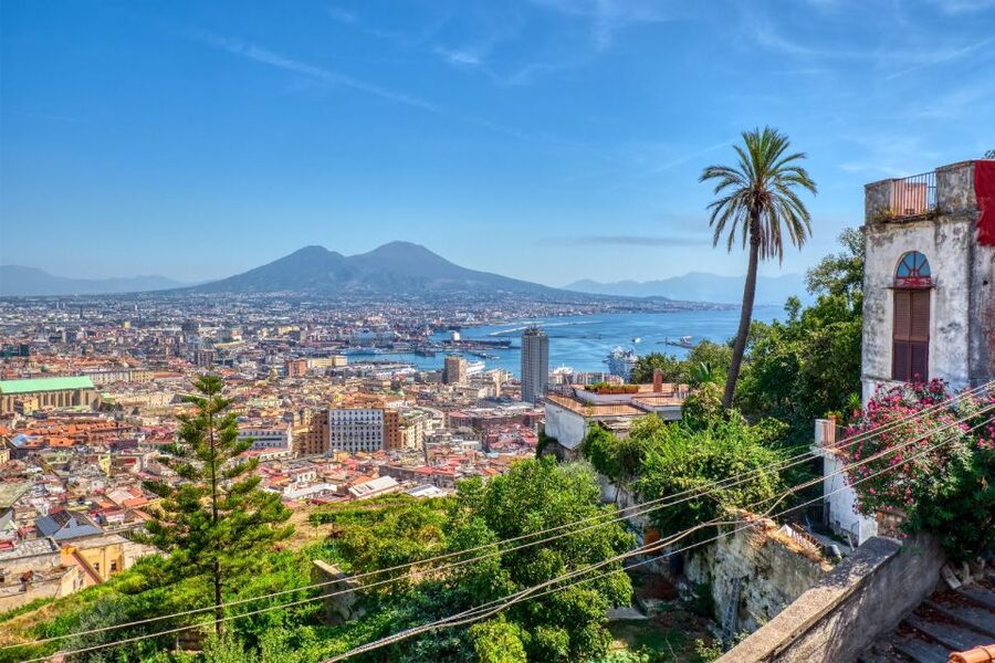 From Naples: Private Transfer to Positano with Pompeii Stop - The Private Vehicle and Driver