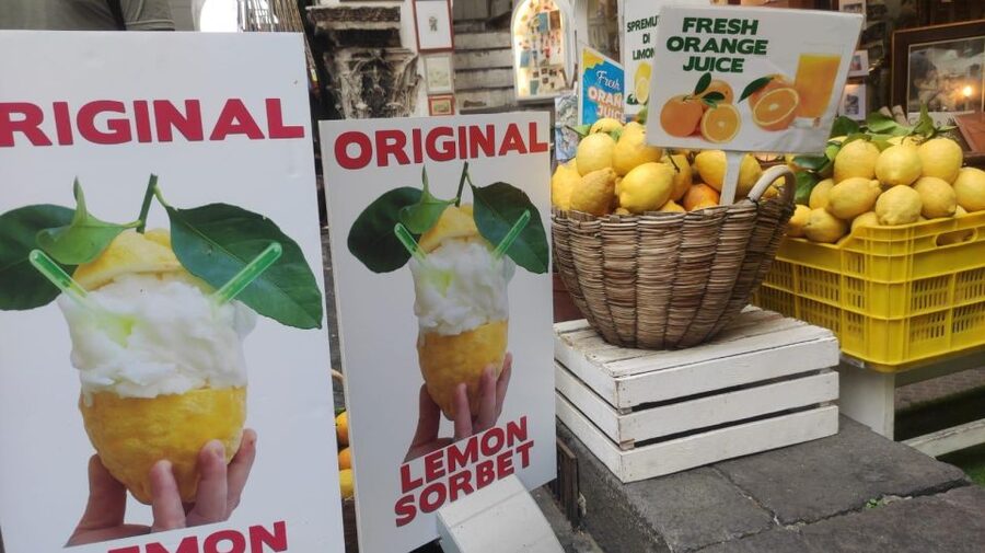 From Naples: Sorrento, Positano, Amalfi and Ravello Tour - What the $135.94 price really covers