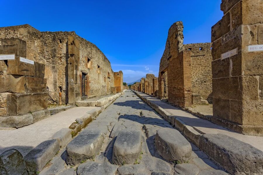 From Naples: Transfer to Positano with Pompeii Guided Tour - Private transport and what you are paying for