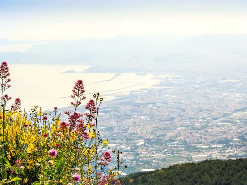 From Naples: Vesuvius Easy Tour - Key points at a glance