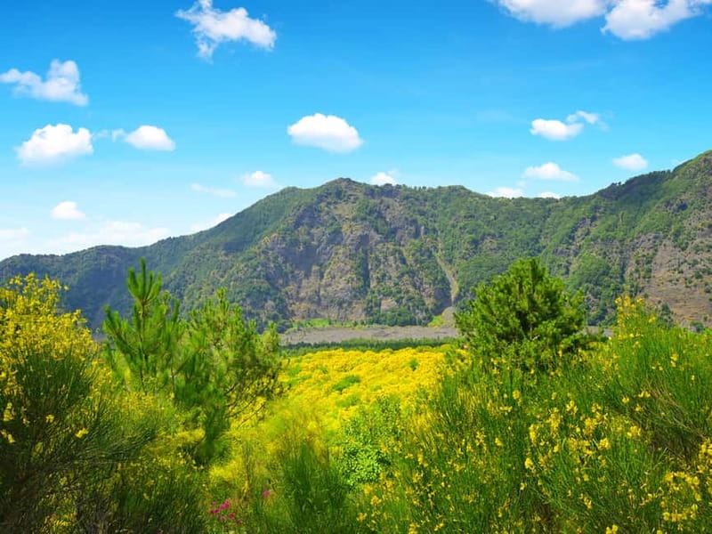 From Naples: Vesuvius Easy Tour - What you can see from the Great Cone