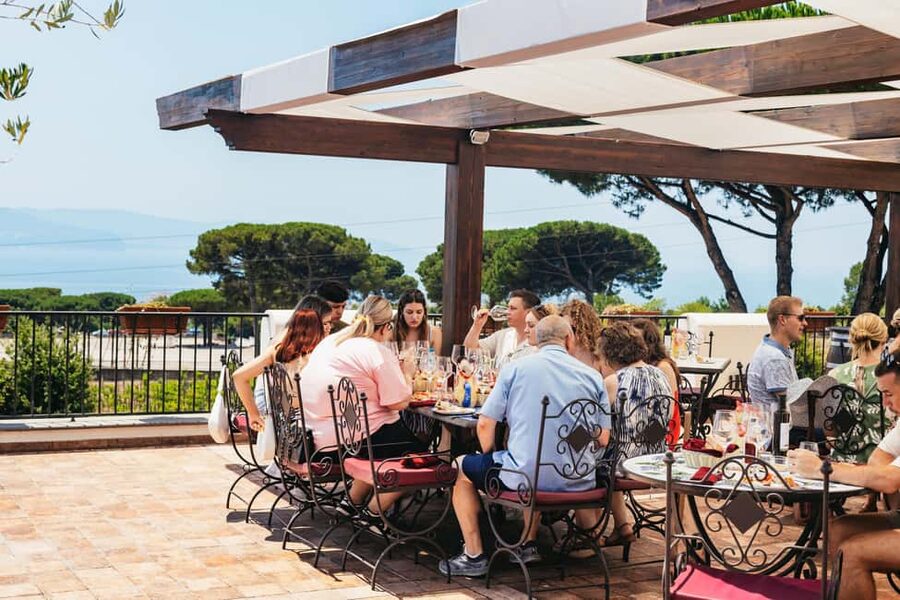 From Naples: Wine Tasting Tour on Vesuvius Slopes with Lunch - Arriving on the slopes of Mount Vesuvius
