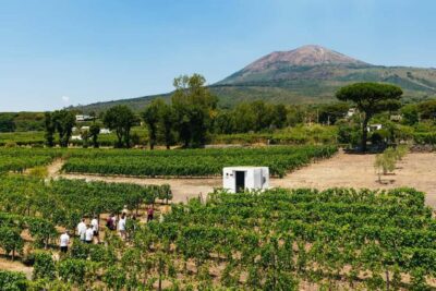 Wine Tasting Tour on Vesuvius Slopes with Lunch