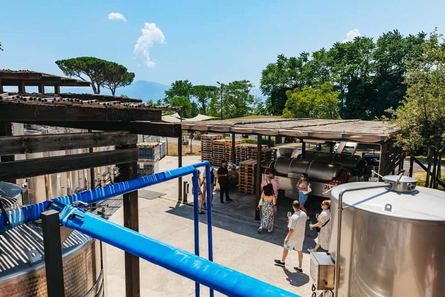 From Naples: Wine Tasting Tour on Vesuvius Slopes with Lunch - The views, photos, and farm shop