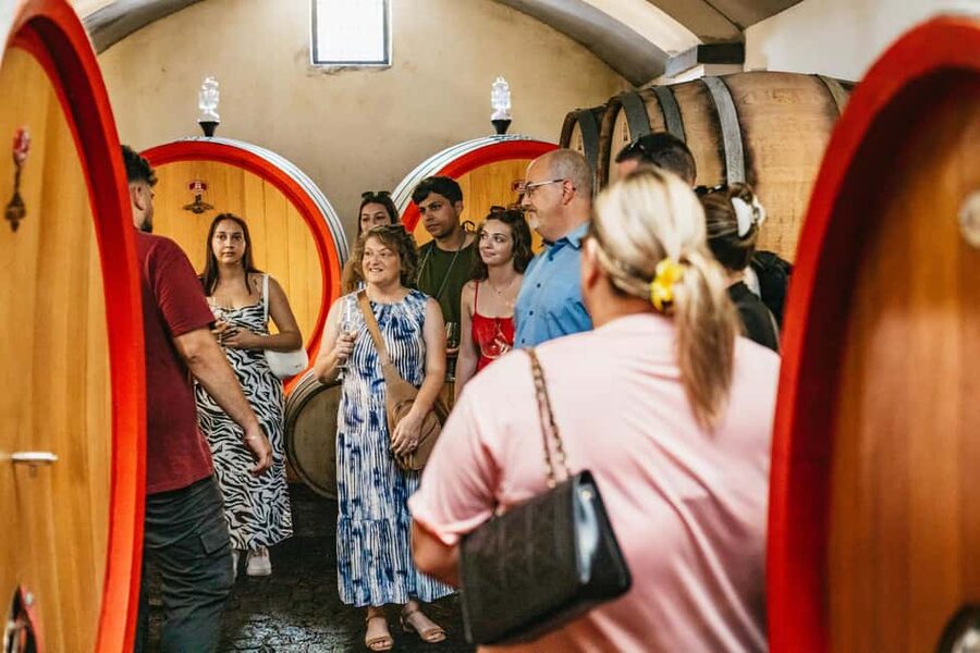 From Naples: Wine Tasting Tour on Vesuvius Slopes with Lunch - How much time the four-hour schedule gives you