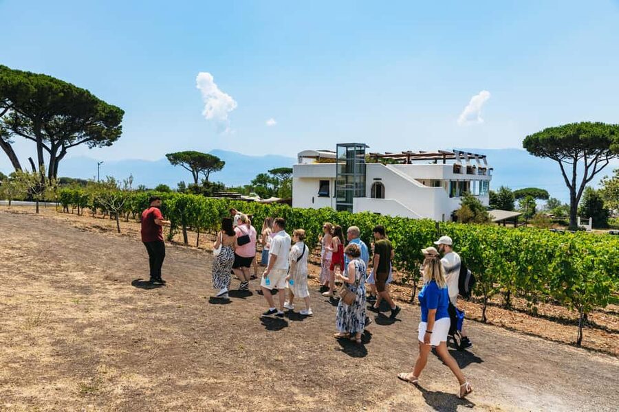 From Naples: Wine Tasting Tour on Vesuvius Slopes with Lunch - What kind of visitor will enjoy it most