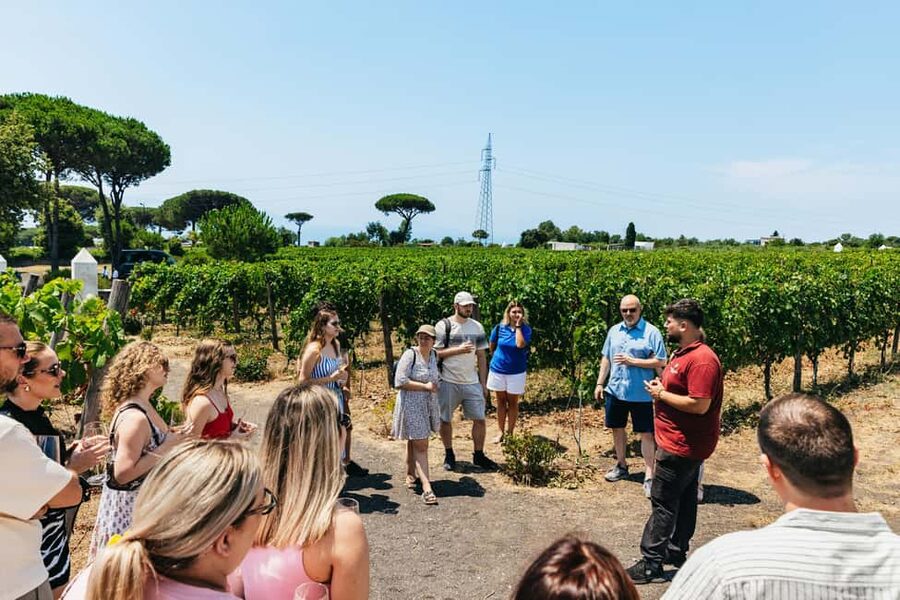 From Naples: Wine Tasting Tour on Vesuvius Slopes with Lunch - FAQ