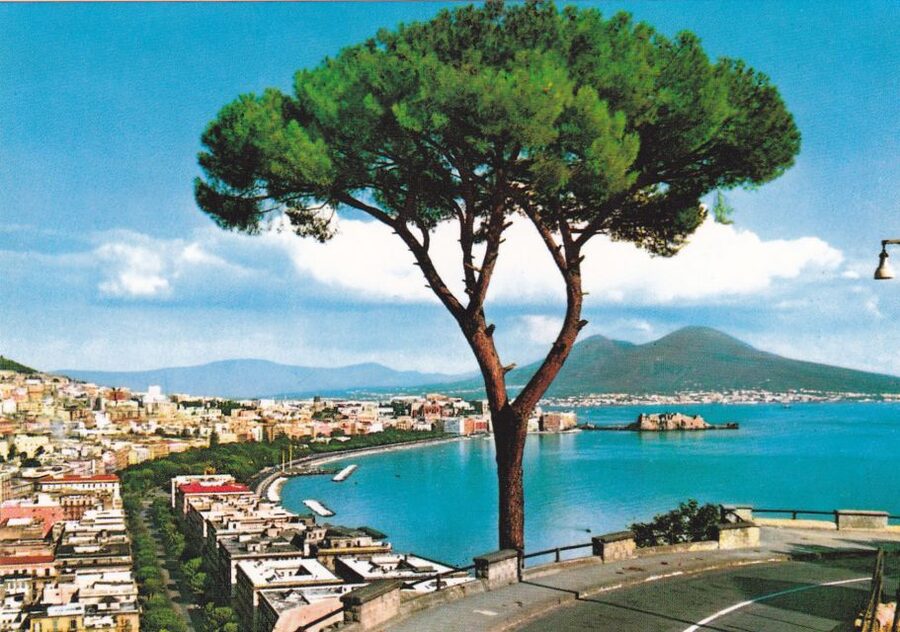 From Rome: Full Day Pompeii and Naples Tour - Pizza and the Naples seafront