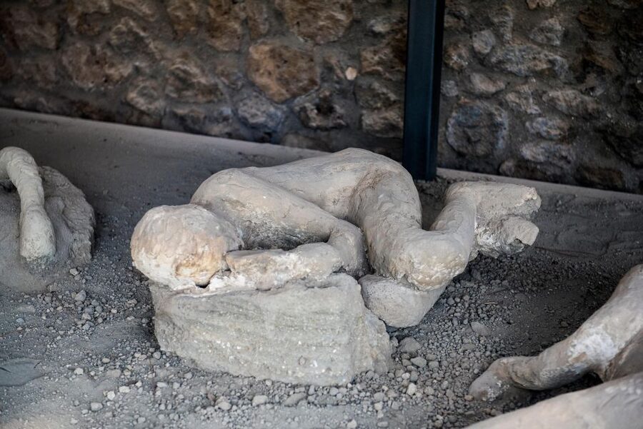 Full-Day Pompeii, Positano & Sorrento Shore Excursion - Who should book this private day