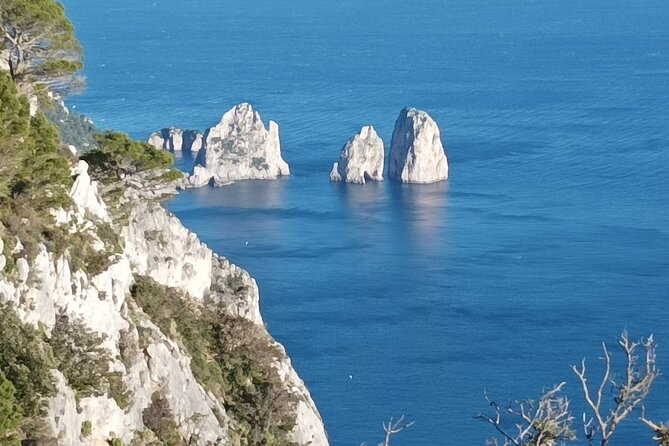 Full-Day Private Capri, Anacapri and Blue Grotto Tour from Naples - What the $570.72 price includes