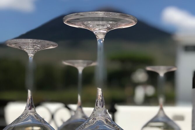 Full Day Private Tour in Pompeii, Vesuvio and Sorrento - What the private driver adds