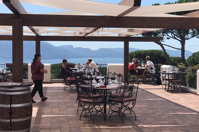 Full Day Private Tour in Pompeii, Vesuvio and Sorrento - Timing, cost, and the real value