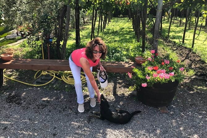 Full Day Private Tour in Pompeii, Vesuvio and Sorrento - Should you book it?