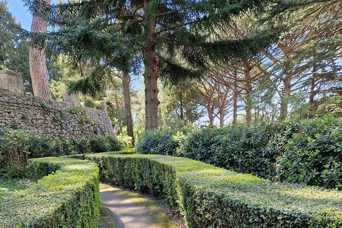 Full Day Private Tour of Pompeii and the Amalfi Coast - Price, extras, and real value
