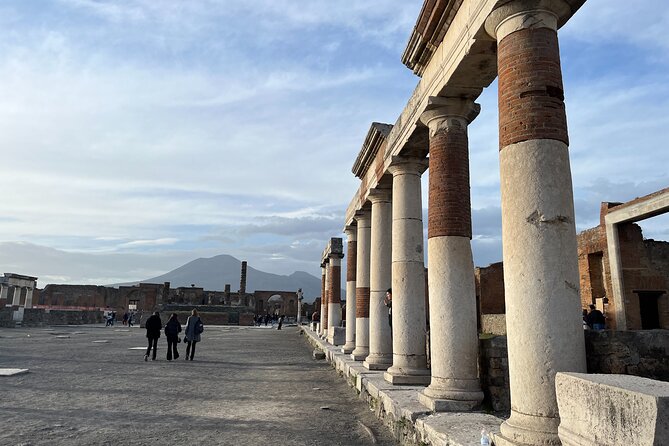 Full Day Private Tour to Pompeii, Herculaneum and Oplontis - Three Roman cities under Mount Vesuvius