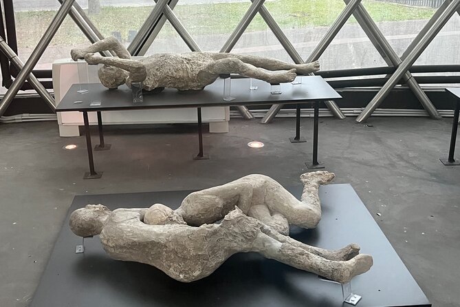 Full Day Private Tour to Pompeii, Herculaneum and Oplontis - Private transport is the real service