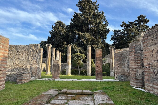 Full Day Private Tour to Pompeii, Herculaneum and Oplontis - Lunch near Pompeii and the Vesuvius wine option