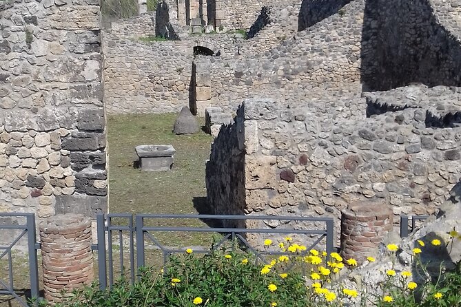 Full Day Tour Pompeii–Sorrento -Positano - What the driver adds to the experience