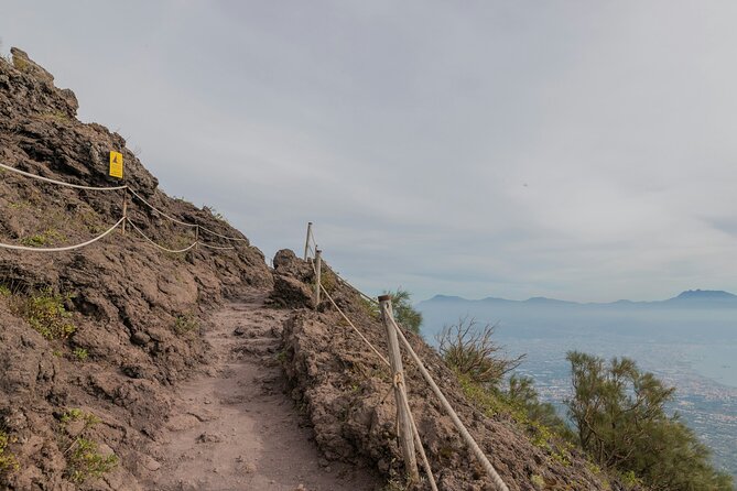 Full Day Tour to Pompeii, Vesuvius and Wine Tasting - What the private format adds