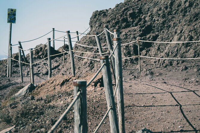 Full Day Tour to Pompeii, Vesuvius and Wine Tasting - The real price, beyond $307.39