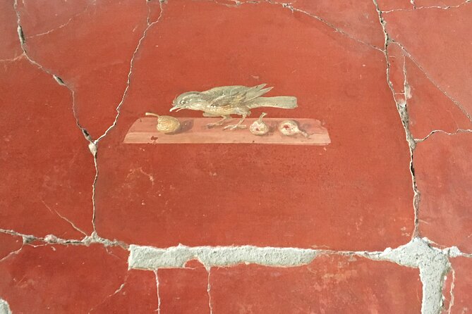 Guided tour of Pompeii - Houses and the Main Square
