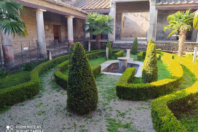 Guided Tours of Pompeii Excavations Historical and Cultural Itineraries - Key points to know before booking