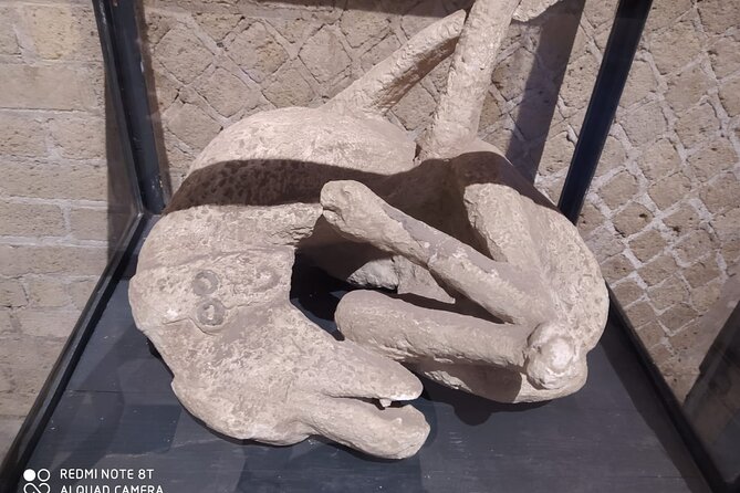 Guided Tours of Pompeii Excavations Historical and Cultural Itineraries - Why this Pompeii tour takes a different route through the ruins