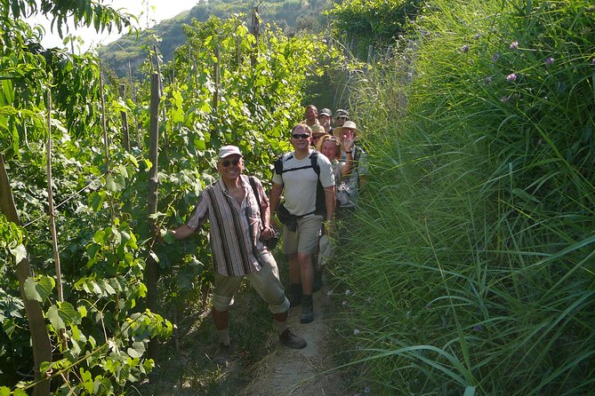 Half-day east coast hike in Ischia island with pick-up - La Scarrupata, wild cliffs and quiet nature
