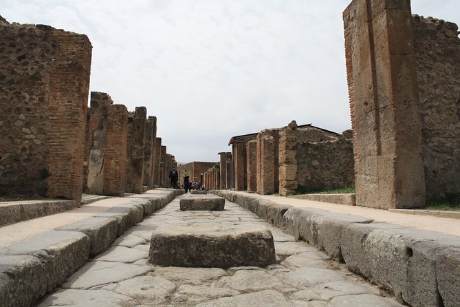 Half-Day Exclusive Private Tour of Pompeii and Herculaneum - The price and who gets real value from it